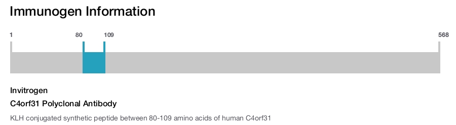 C4orf31 Polyclonal Antibody
