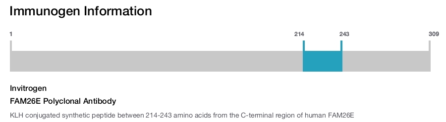 FAM26E Polyclonal Antibody