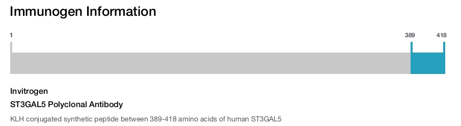 ST3GAL5 Polyclonal Antibody