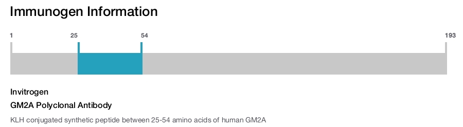 GM2A Polyclonal Antibody