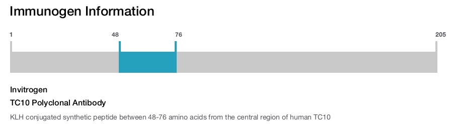 TC10 Polyclonal Antibody
