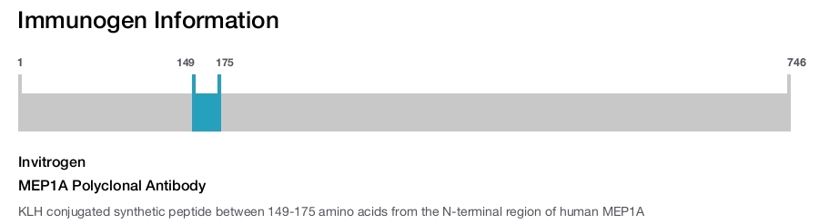 MEP1A Polyclonal Antibody