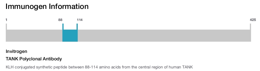 TANK Polyclonal Antibody