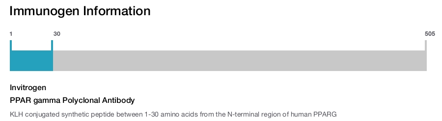 PPAR gamma Polyclonal Antibody