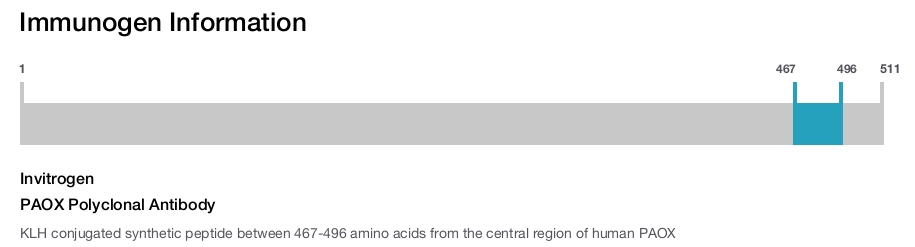 PAOX Polyclonal Antibody