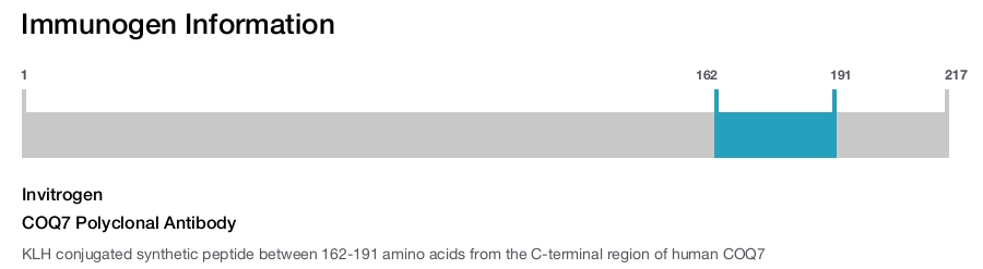 COQ7 Polyclonal Antibody