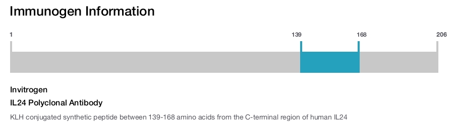 IL24 Polyclonal Antibody