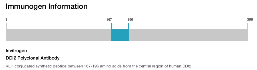 DDI2 Polyclonal Antibody