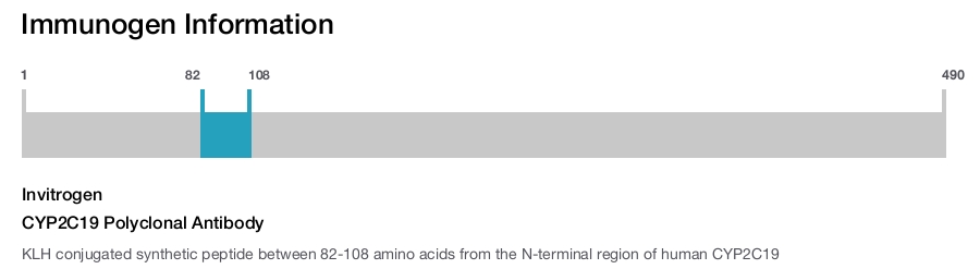CYP2C19 Polyclonal Antibody