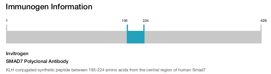 SMAD7 Polyclonal Antibody