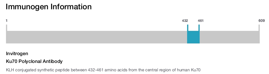 Ku70 Polyclonal Antibody