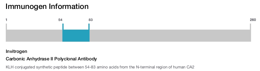 Carbonic Anhydrase II Polyclonal Antibody