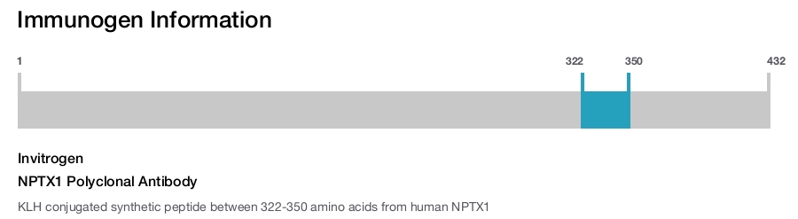 NPTX1 Polyclonal Antibody