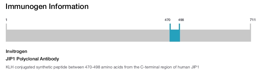 JIP1 Polyclonal Antibody
