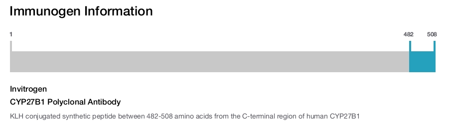 CYP27B1 Polyclonal Antibody