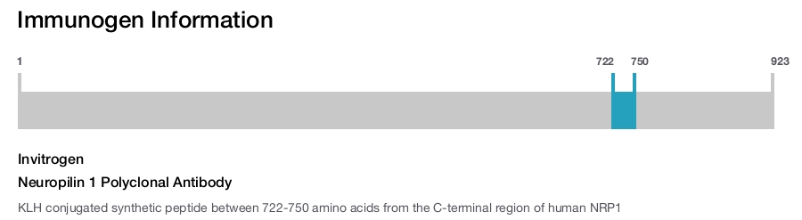 Neuropilin 1 Polyclonal Antibody