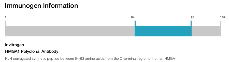 HMGA1 Polyclonal Antibody
