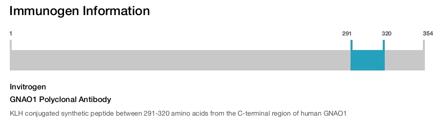 GNAO1 Polyclonal Antibody