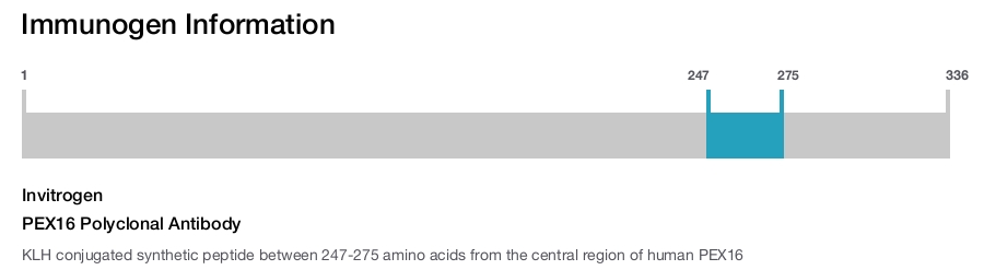 PEX16 Polyclonal Antibody