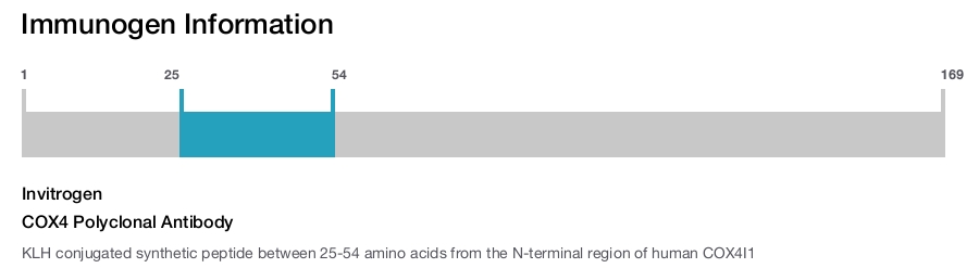 COX4 Polyclonal Antibody