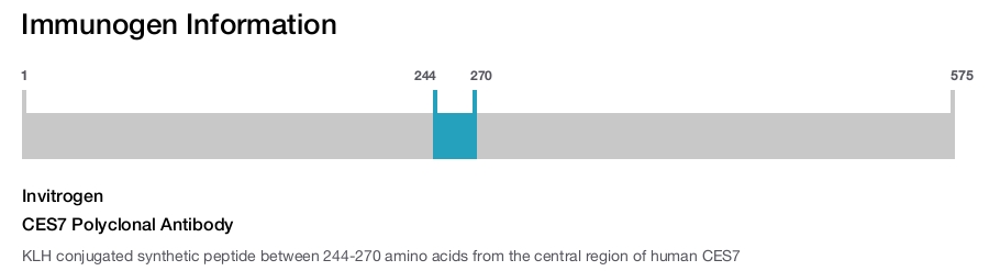 CES7 Polyclonal Antibody