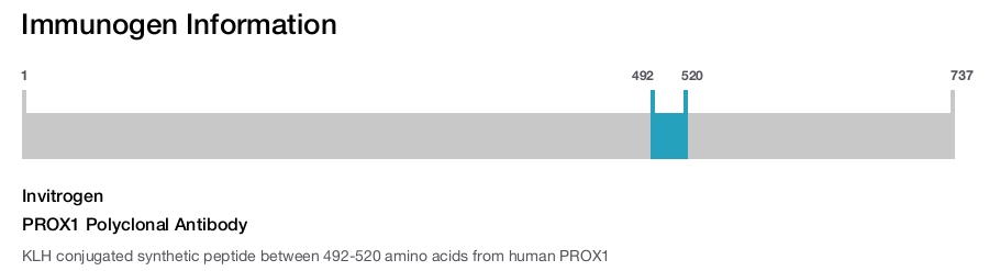 PROX1 Polyclonal Antibody
