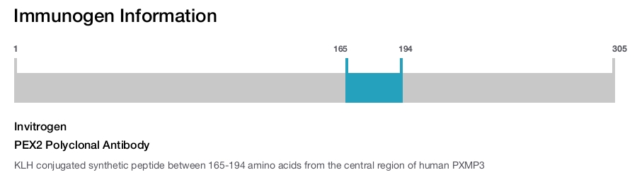 PEX2 Polyclonal Antibody