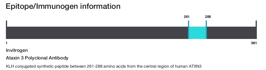 Ataxin 3 Polyclonal Antibody