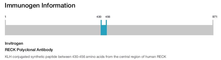 RECK Polyclonal Antibody