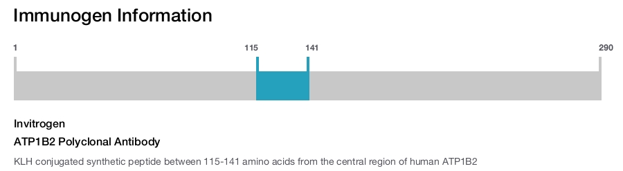 ATP1B2 Polyclonal Antibody