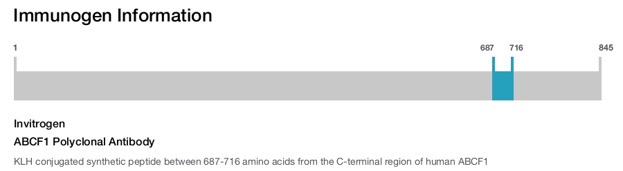 ABCF1 Polyclonal Antibody