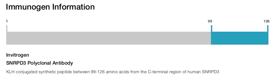 SNRPD3 Polyclonal Antibody