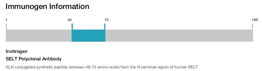 SELT Polyclonal Antibody