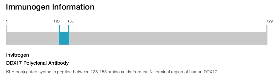 DDX17 Polyclonal Antibody
