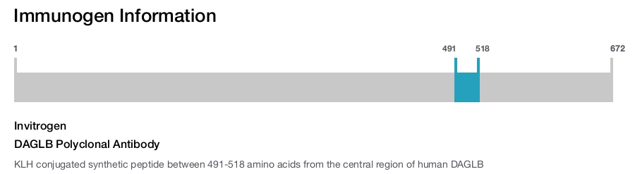 DAGLB Polyclonal Antibody