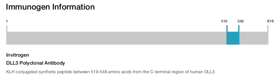 DLL3 Polyclonal Antibody