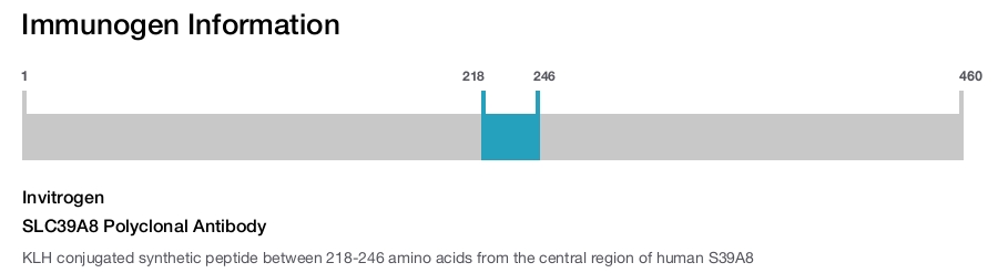 SLC39A8 Polyclonal Antibody