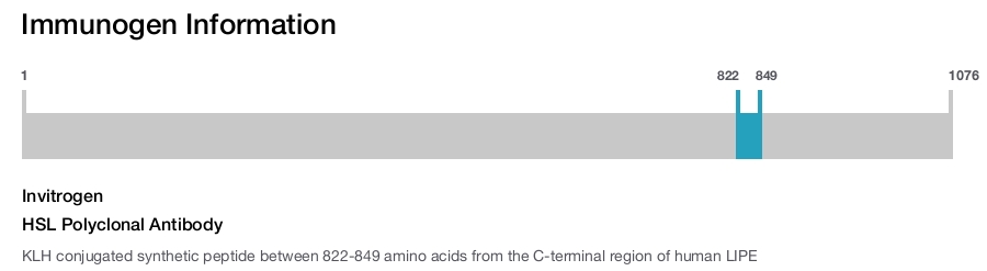 HSL Polyclonal Antibody