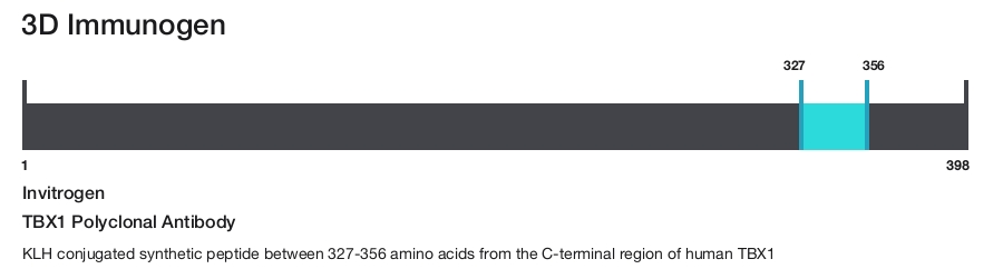 TBX1 Polyclonal Antibody