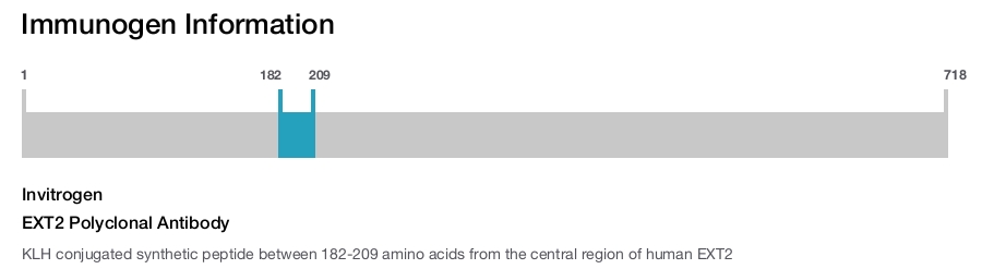 EXT2 Polyclonal Antibody