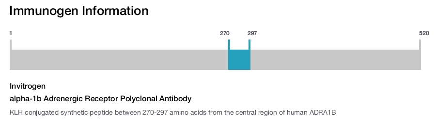 alpha-1b Adrenergic Receptor Polyclonal Antibody