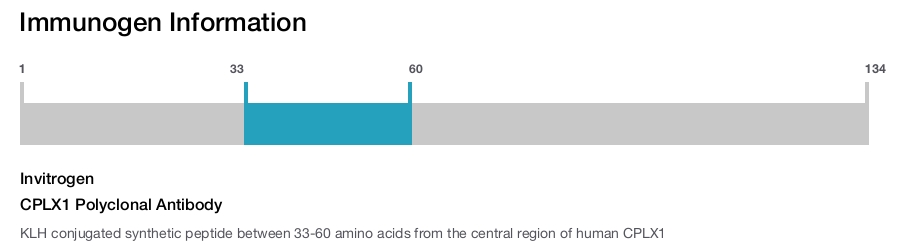 CPLX1 Polyclonal Antibody
