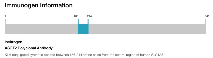 ASCT2 Polyclonal Antibody