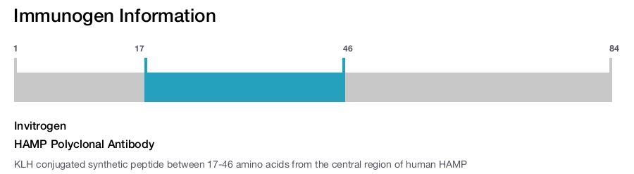 HAMP Polyclonal Antibody