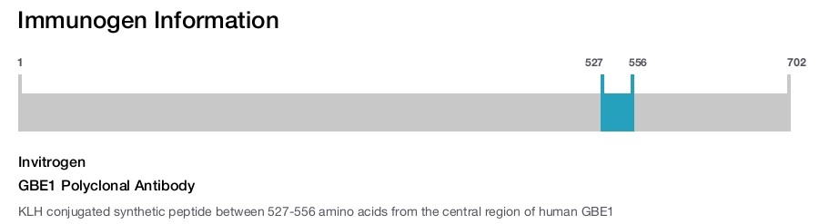 GBE1 Polyclonal Antibody