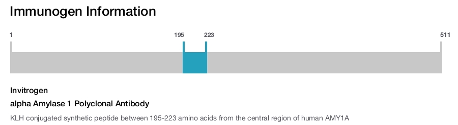 alpha Amylase 1 Polyclonal Antibody