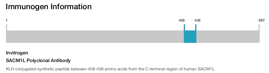 SACM1L Polyclonal Antibody