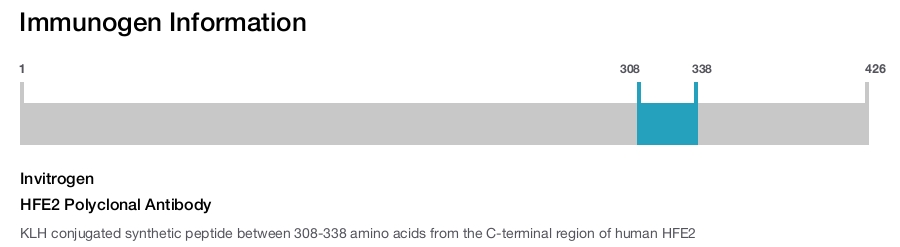 HFE2 Polyclonal Antibody