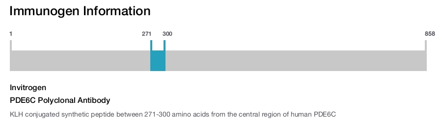 PDE6C Polyclonal Antibody