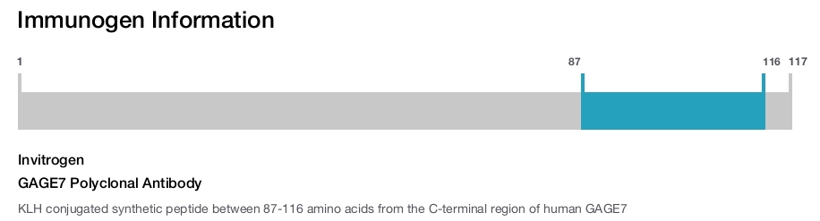GAGE7 Polyclonal Antibody
